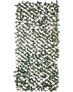 Celosia mimbre c/hojas Wickgreen 1x2mt Nortene 