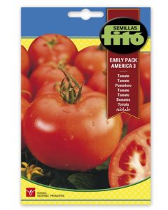 Tomate fito early pack america