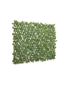 Celosia extensible con hojas 1x2 mt