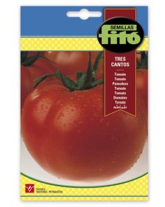 Tomate fito tres cantos