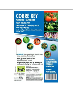 Fungicida Cobre Key 500 Gr